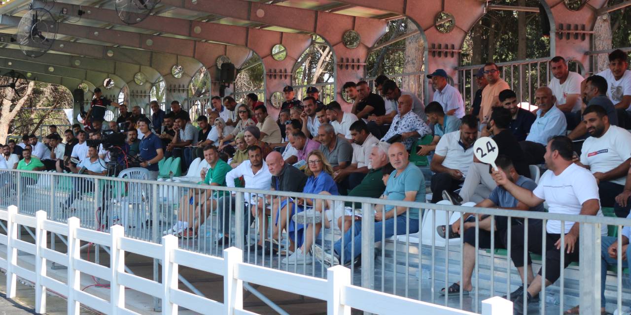 Elektronik ortamda satılan taylar 27 milyon lira kazandırdı