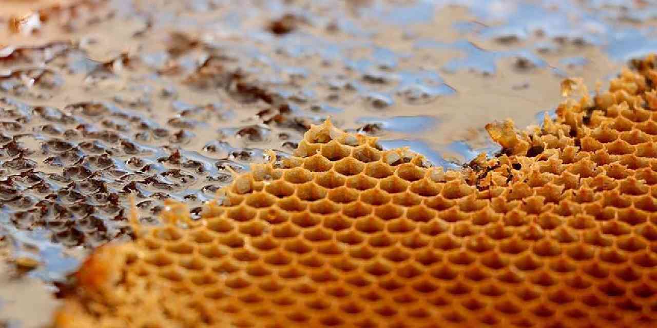 Üreticiye maliyeti ortaya çıktı: Bal fiyatları artabilir