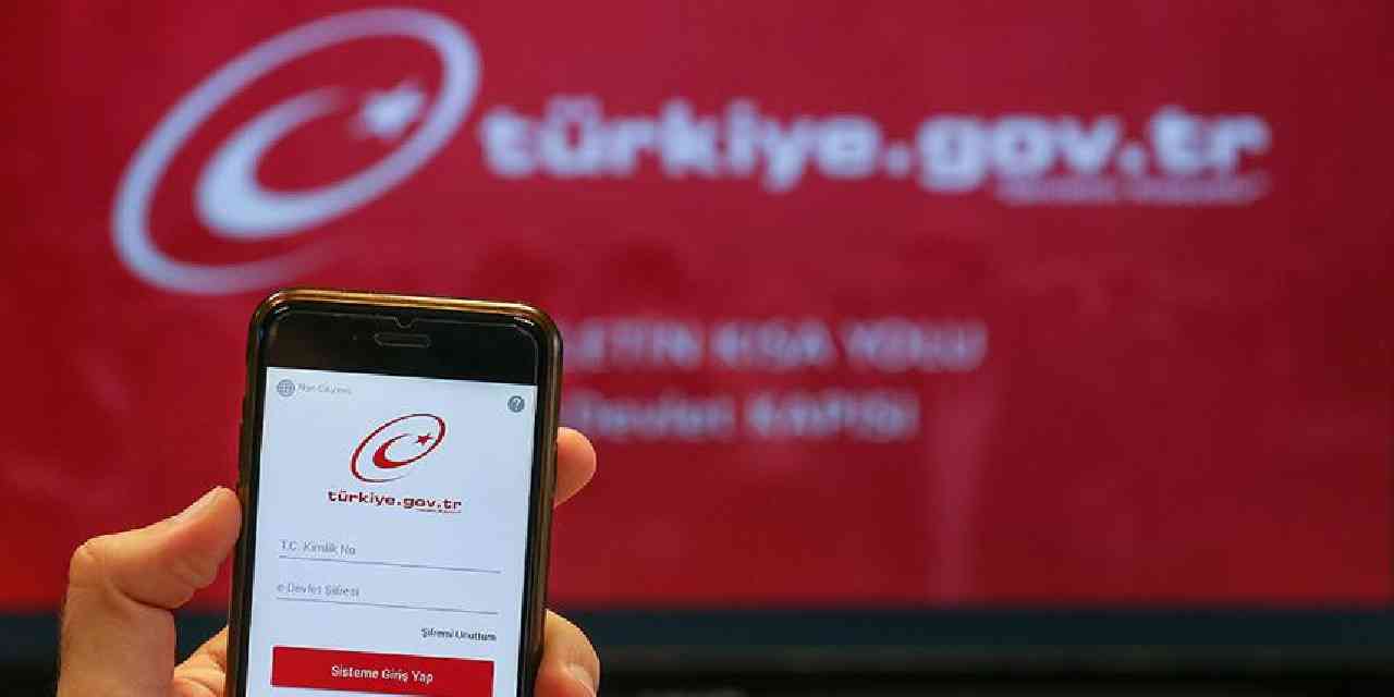 Vatandaş hileli gıdalar listesini artık e-Devlet'ten anında görebilecek