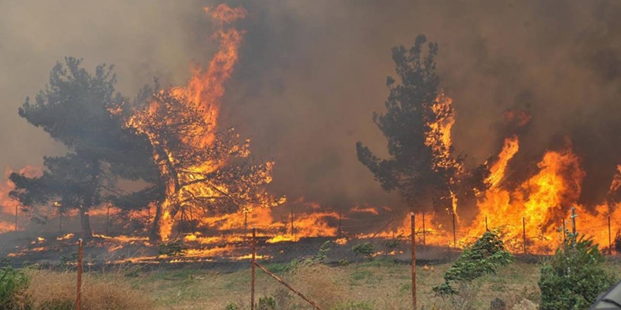 OGM'den orman yangını uyarısı: Risk yükseliyor