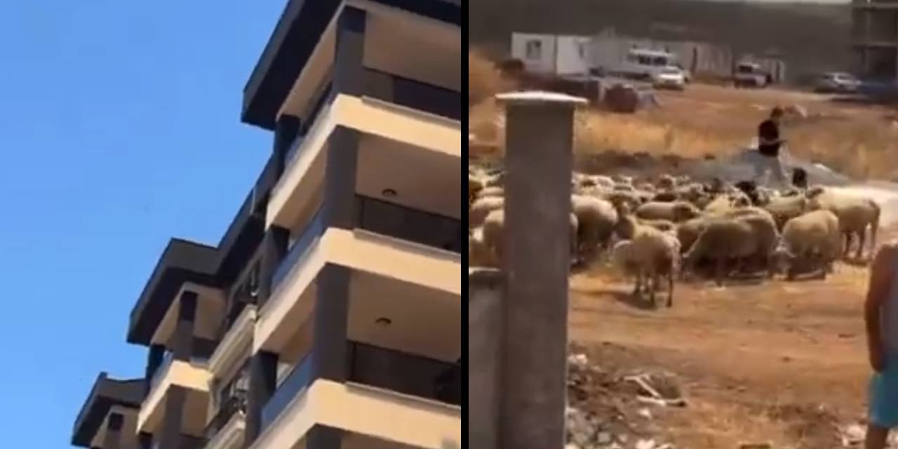 Çanakkale yangınında hayvanlarıyla kaçan vatandaş siteye alınmadı