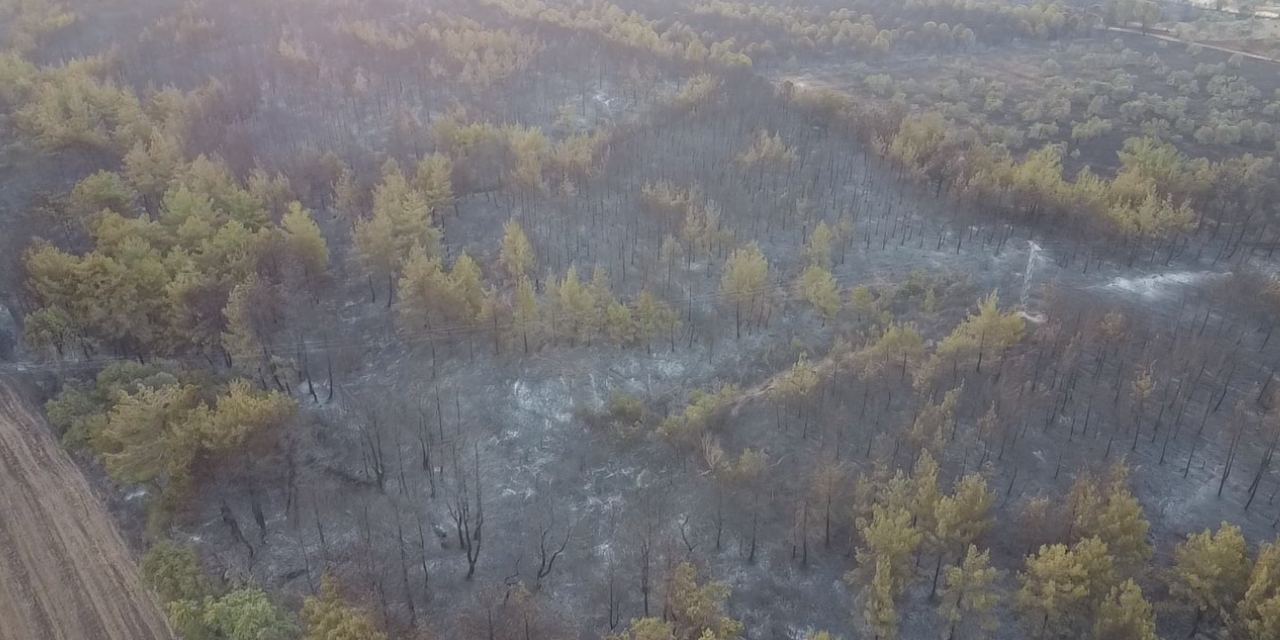 Gökyüzünden bakınca anlaşılan vahşet!  Gün ağarınca ortaya çıktı