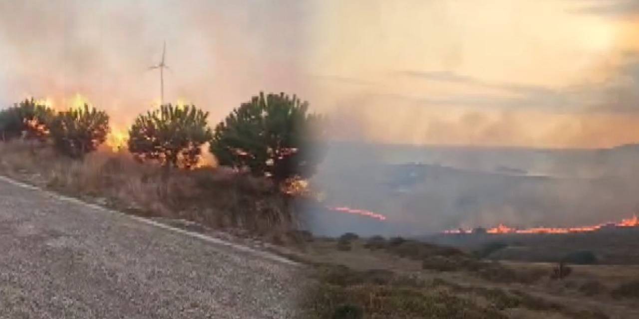 Balıkesir Paşalimanı Adası yangınının bilançosu ortaya çıktı!