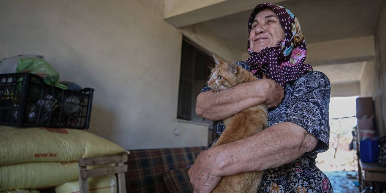 Kedi Boncuk Çanakkale yangınını atlattı! Sahibini görünce acı acı bağırdı