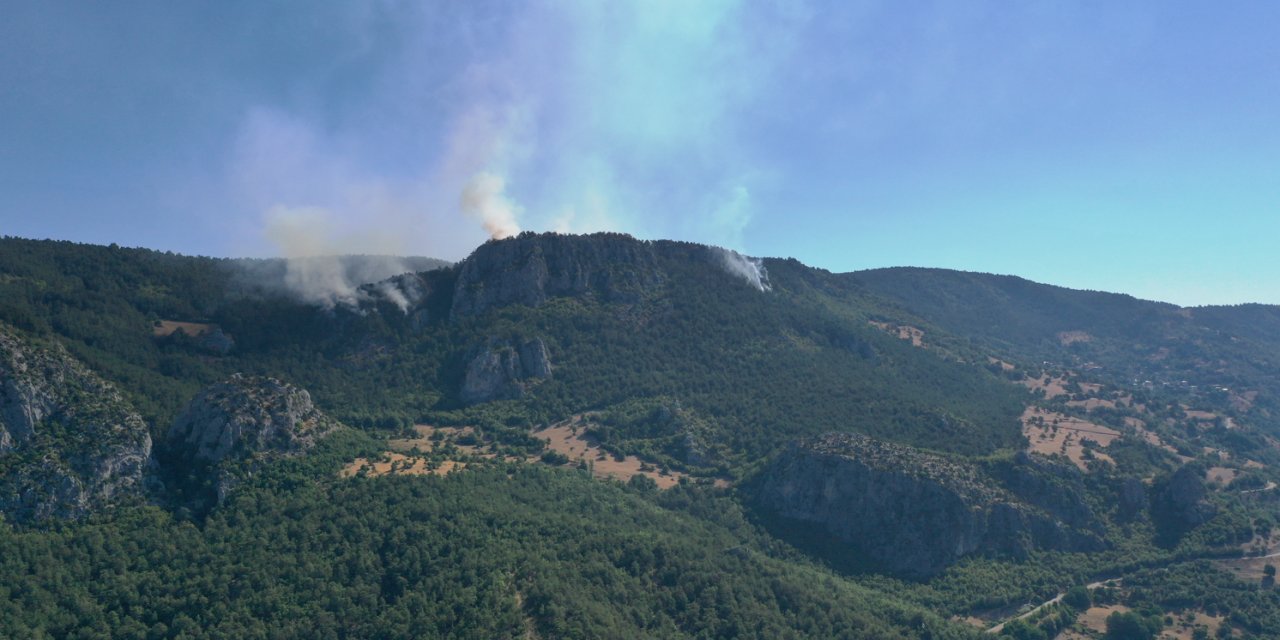 Sinop'ta orman yangını! Köy boşaltıldı