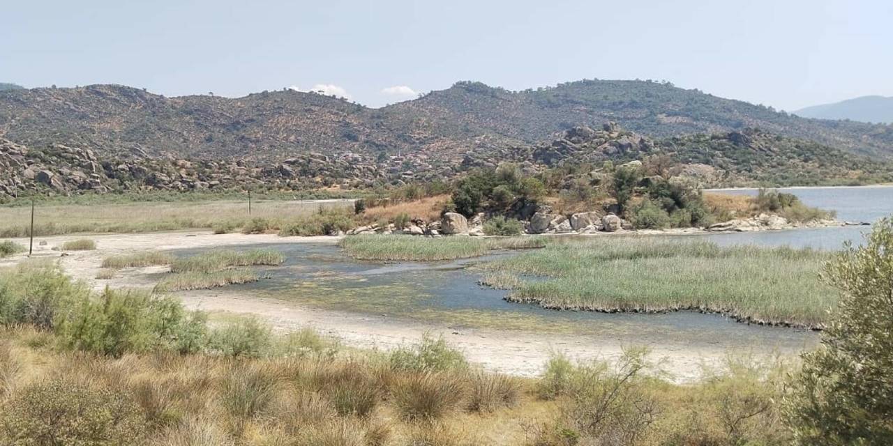 Bafa Gölü'nde alarm: Artık yanına bile yaklaşılmıyor!