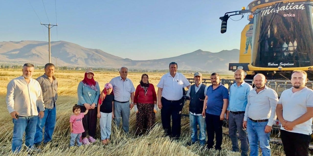 Çiftçi kan ağlıyor: Masraf 50 bin, gelir 20 bin!