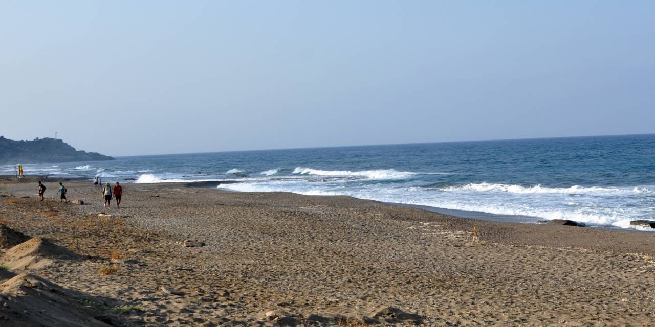 Yuvalarından çıkıp denizle buluştular: Yüzde 1 veya 2'si canlı kalıyor!