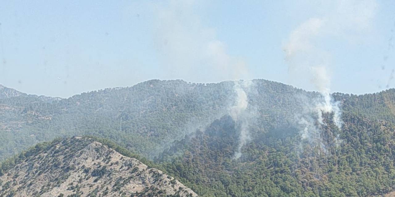 Mersin'de orman yangını!