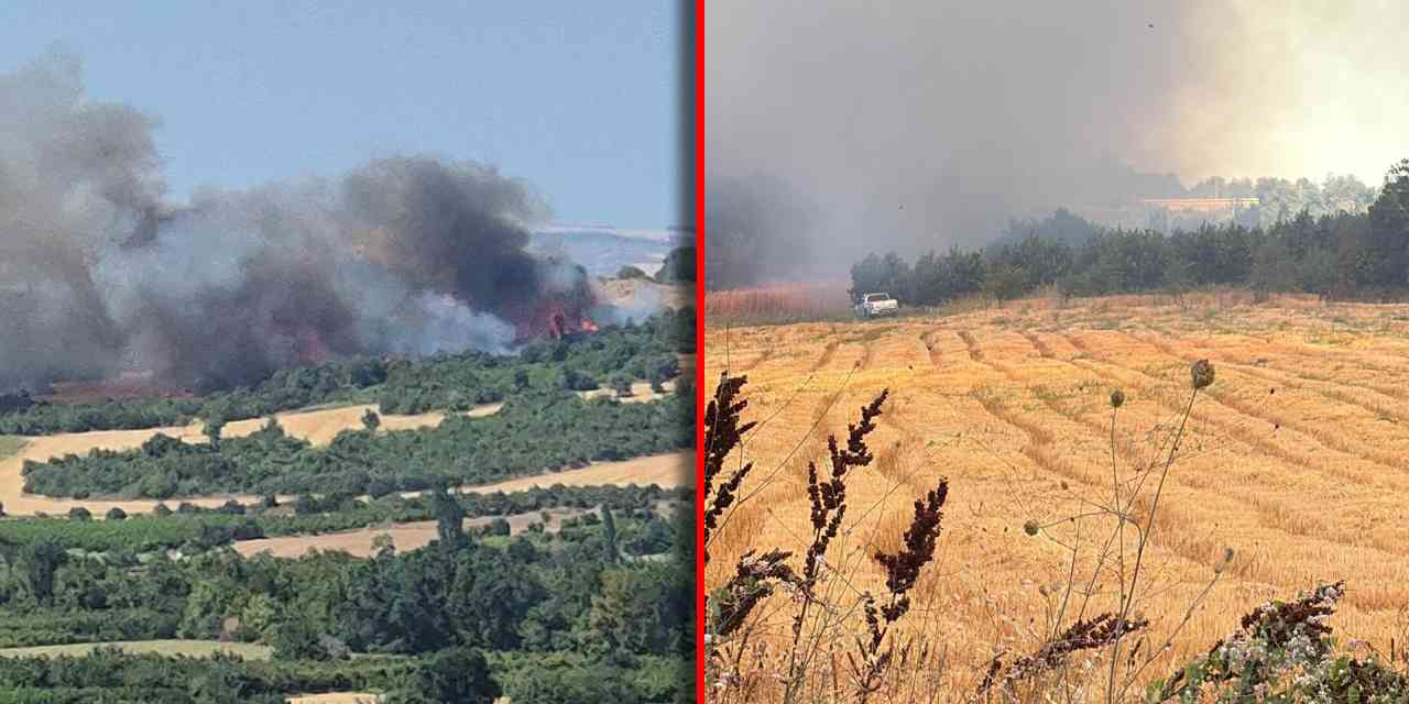 Tarım arazisinde çıkan yangın ormana sıçradı