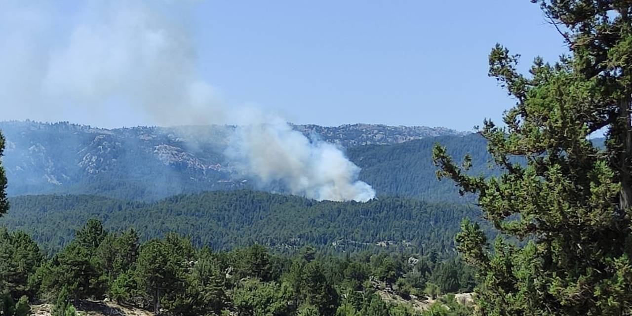Mersin'de orman yangını: Havadan ve karadan müdahale ediliyor
