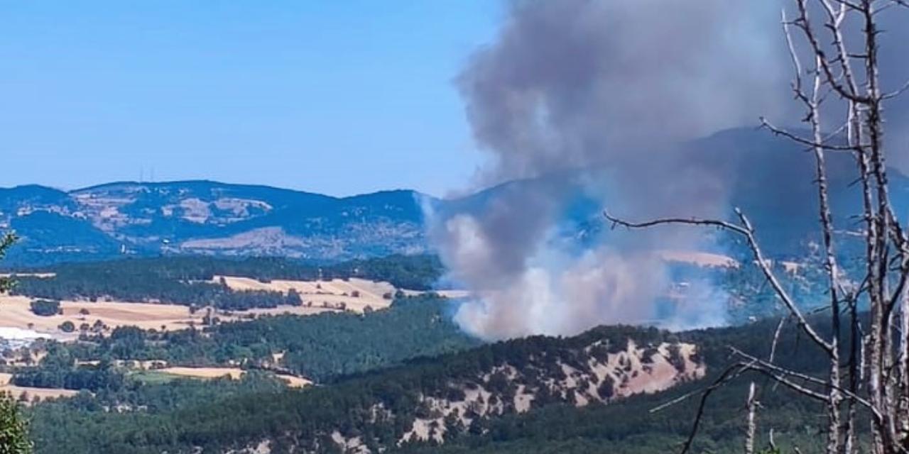 Bolu'da orman yangını!