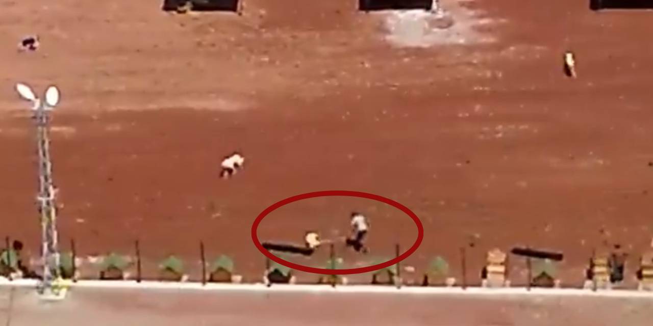 Kars barınağında dehşete düşüren görüntüler! Köpeklere işkence ettiler