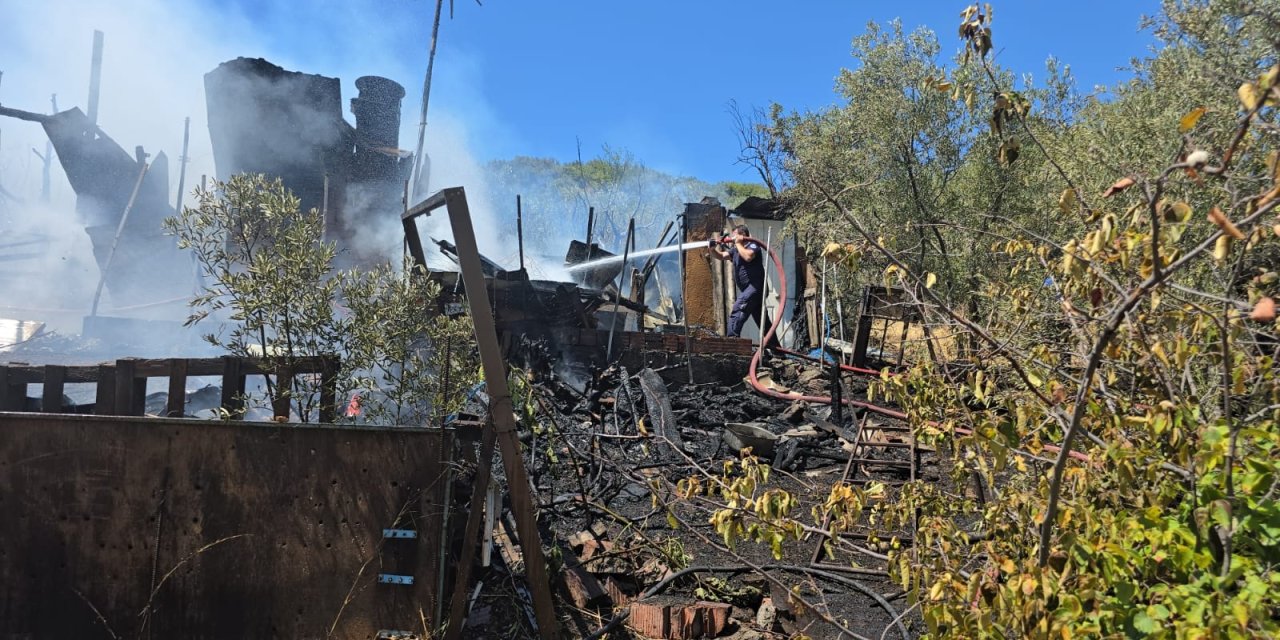 Bağ evi alev alev yandı! Zeytin ağaçları zarar gördü