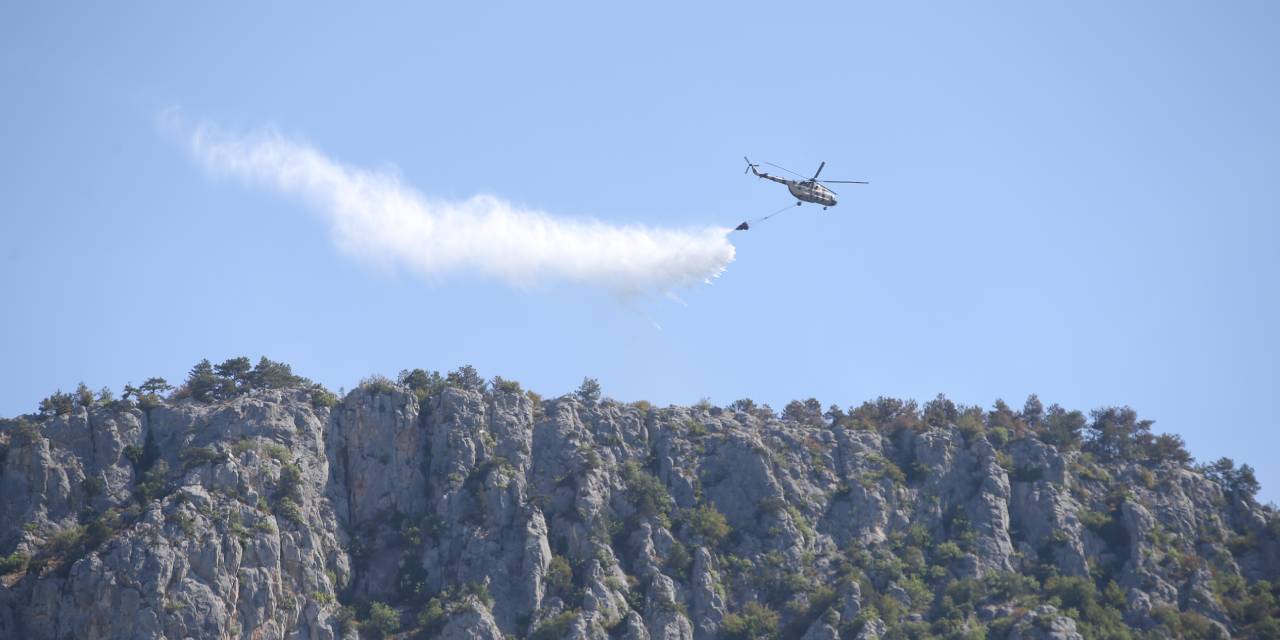 Sinop'taki orman yangını 3 gün sonra kontrol altına alındı