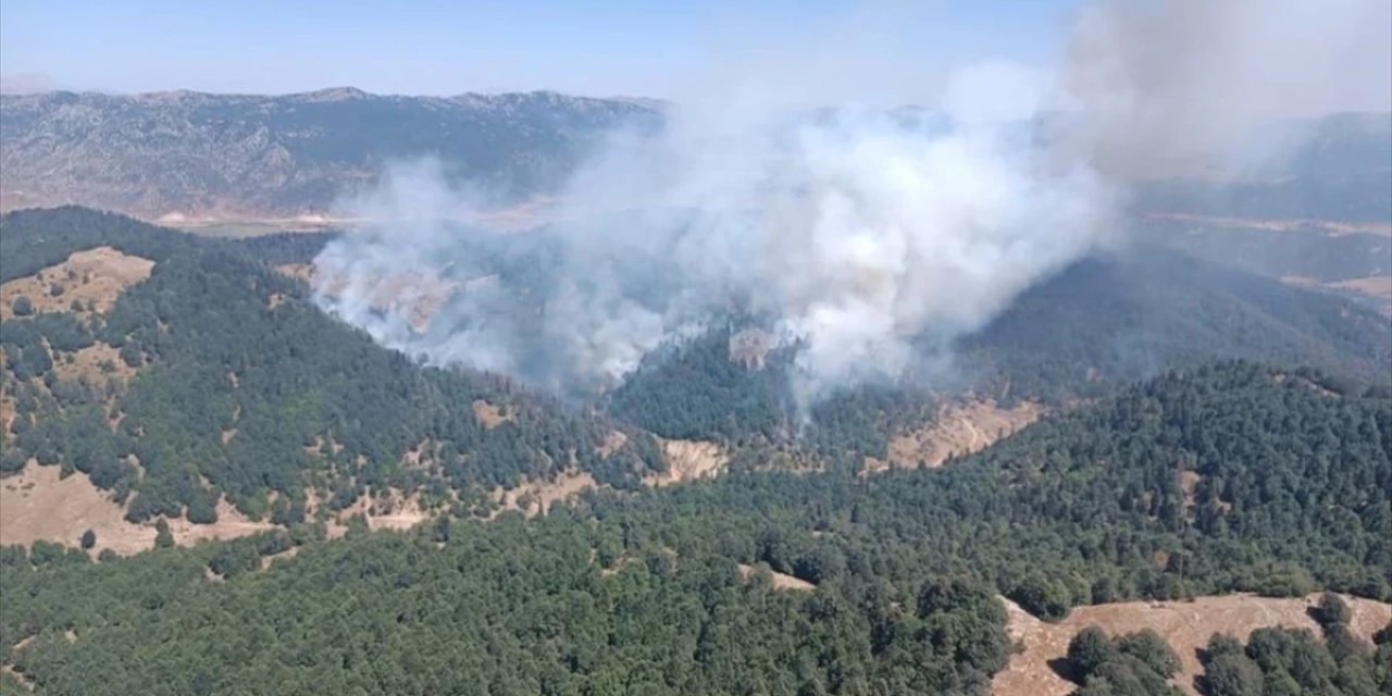 Kahramanmaraş'ta orman yangını!