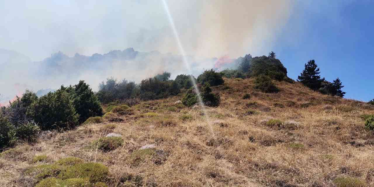 Erzurum'da yangın: 10 dönümlük alan zarar gördü