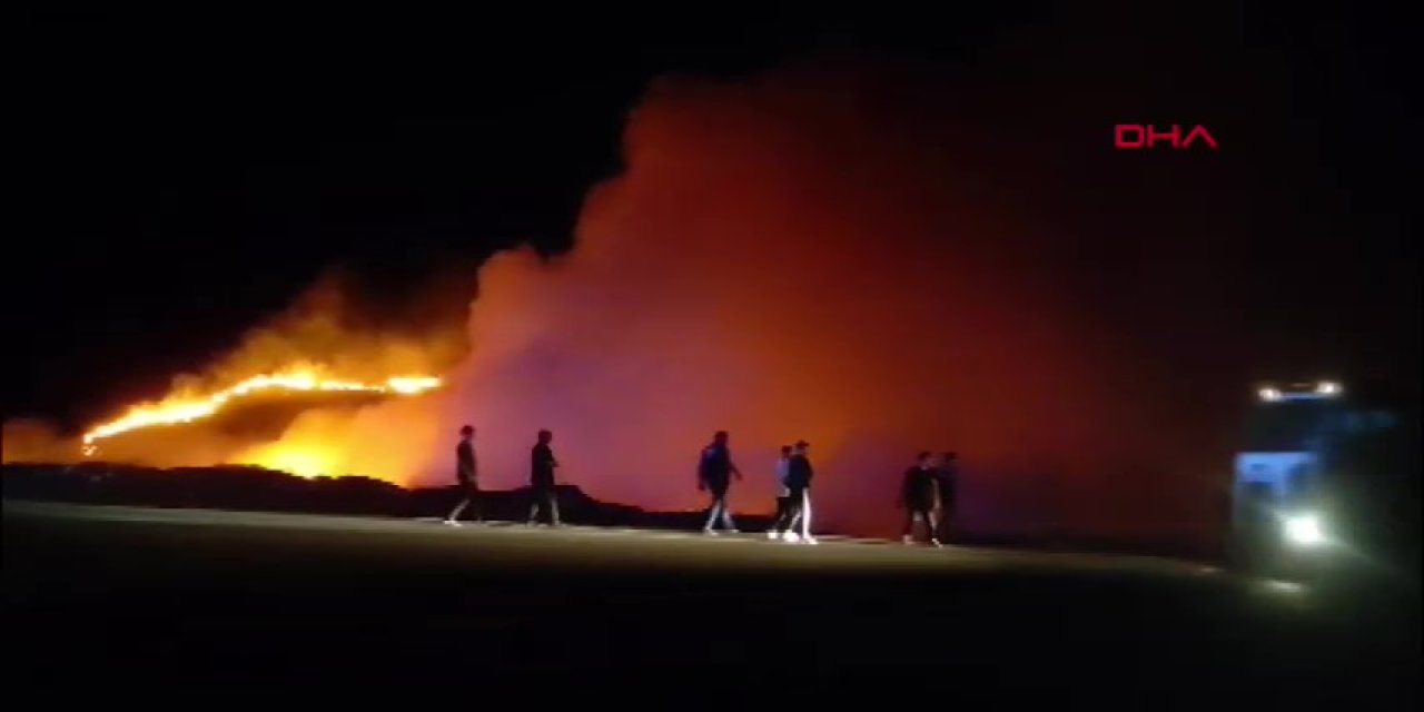 Bingöl'de çıkan yangın kontrol altına alındı