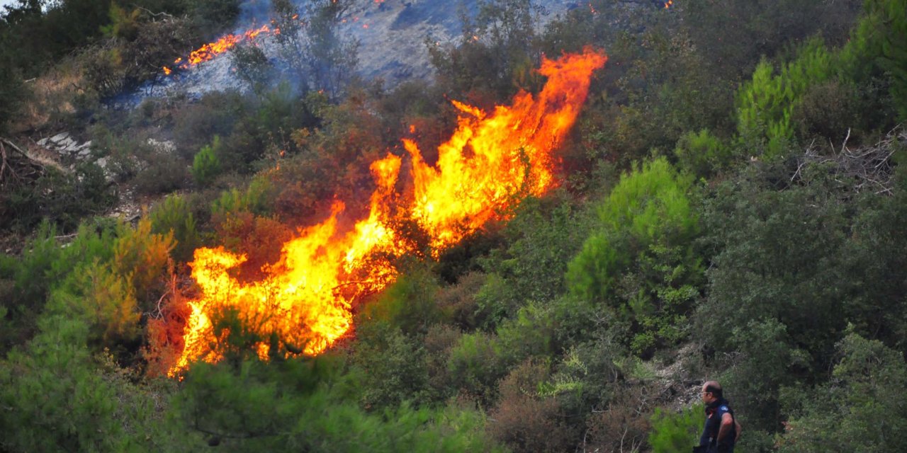 Manisa'daki orman yangınlarından biri kontrol altında