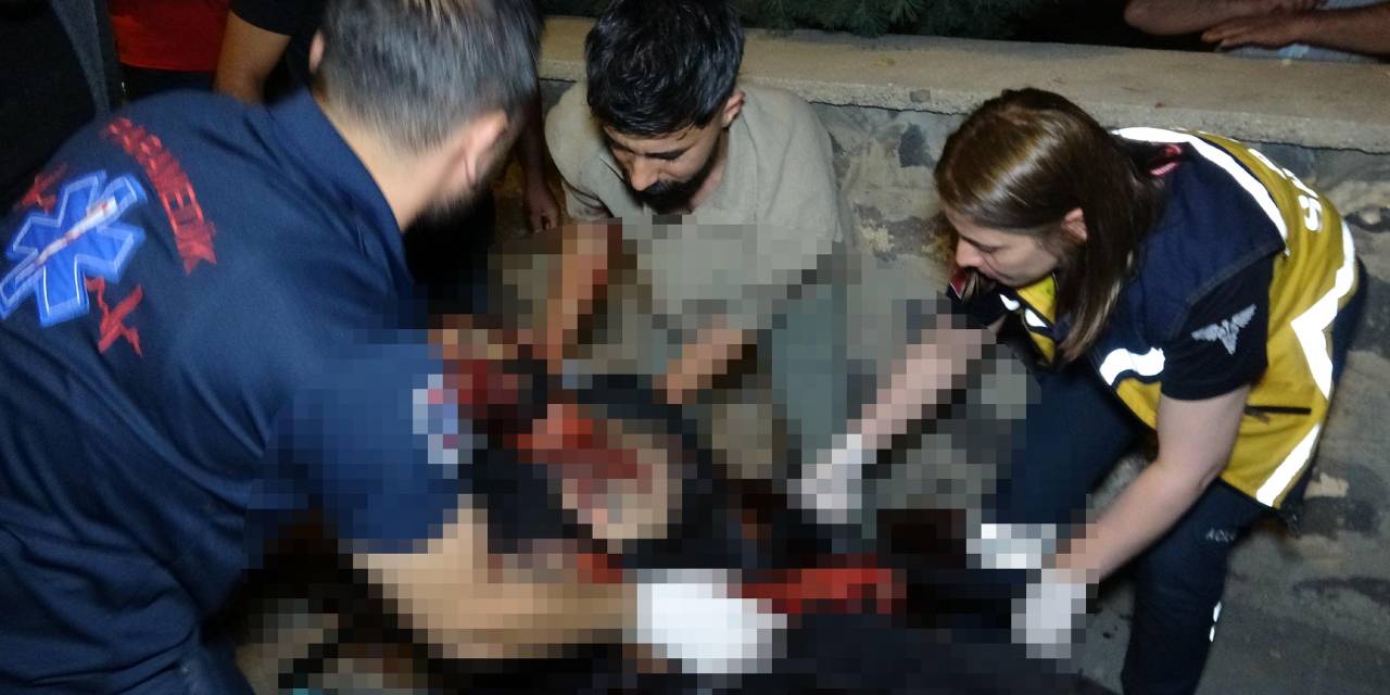 2 kardeşin birini öldürüp diğerini ağır yaraladılar