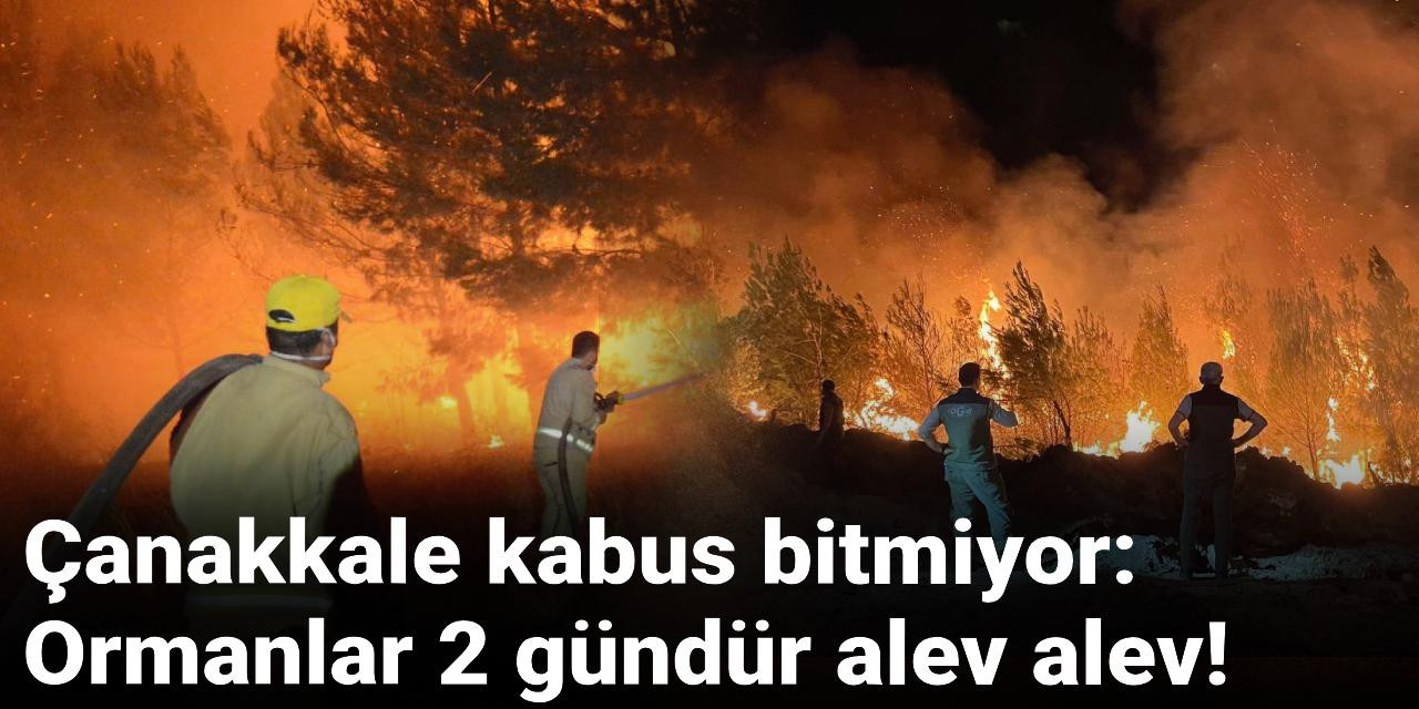 Çanakkale kabus bitmiyor: Ormanlar 2 gündür alev alev!