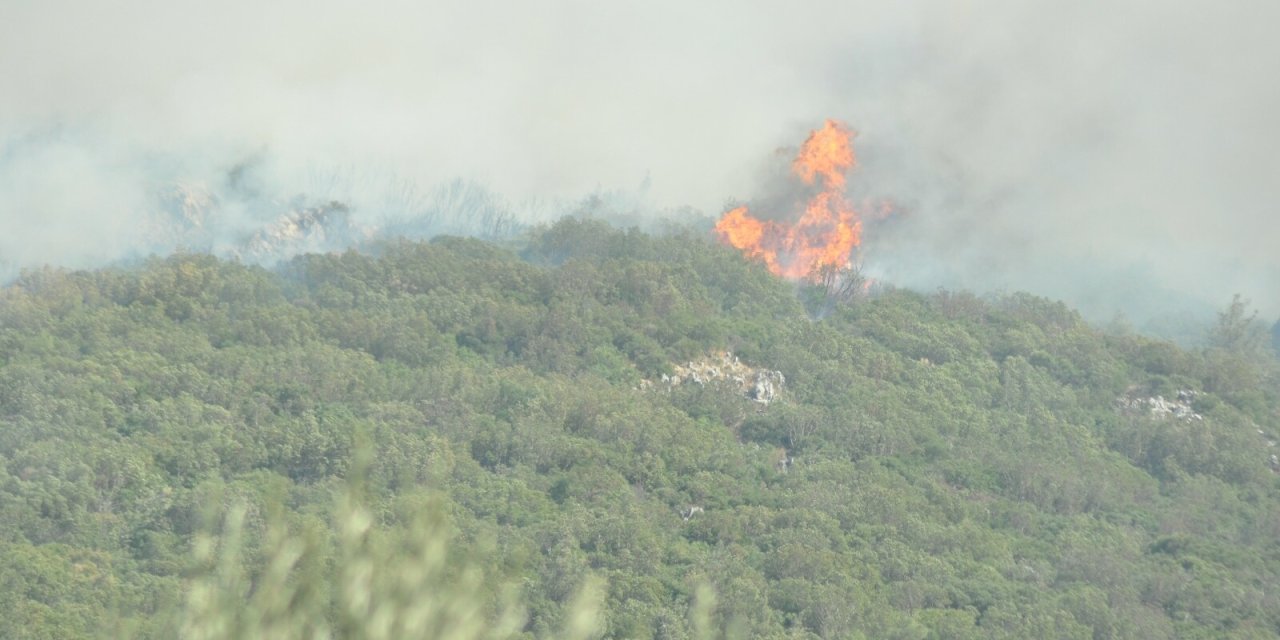 Soma'da orman yangını 2'nci gününde