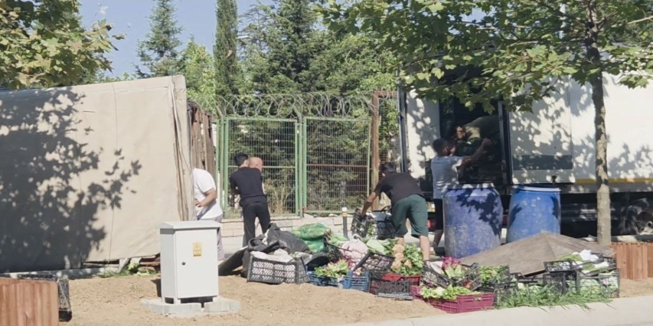 Sebze yüklü kamyonet devrildi! 2 yaralı