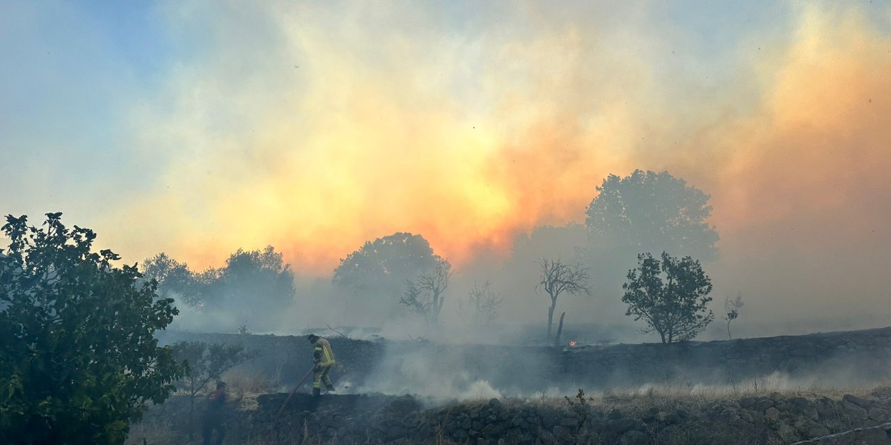 İzmir'de makilik alanda yangın