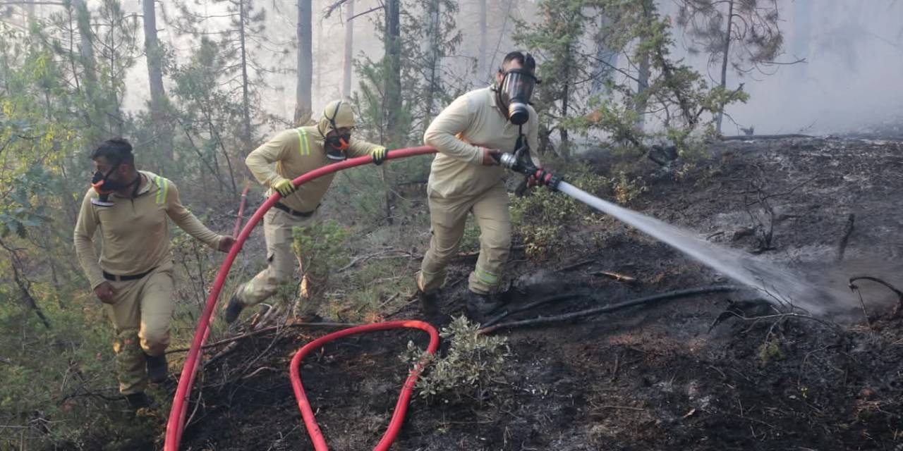 Bolu yangını kontrol altında! 2 şüpheli yakalandı
