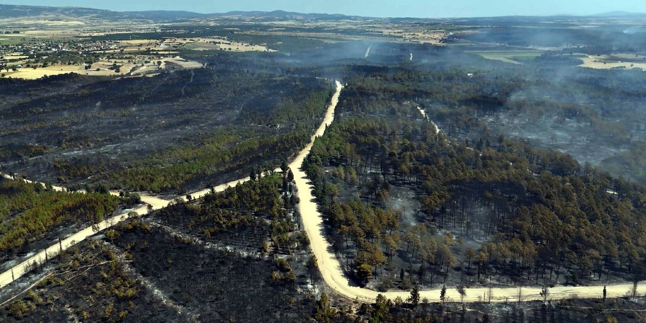 Edirne’deki yangın 16 saatin ardından kontrol altında! Yanan alanların görüntüsü yürek yaktı