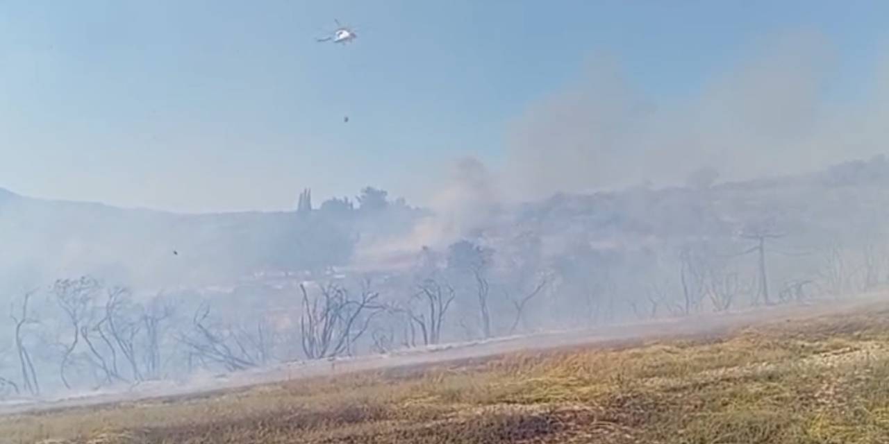 Osmaniye'de anız yangını zeytinliklere sıçradı!