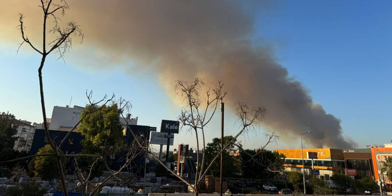 Artık yeter! Bir orman yangını da İzmir'de çıktı