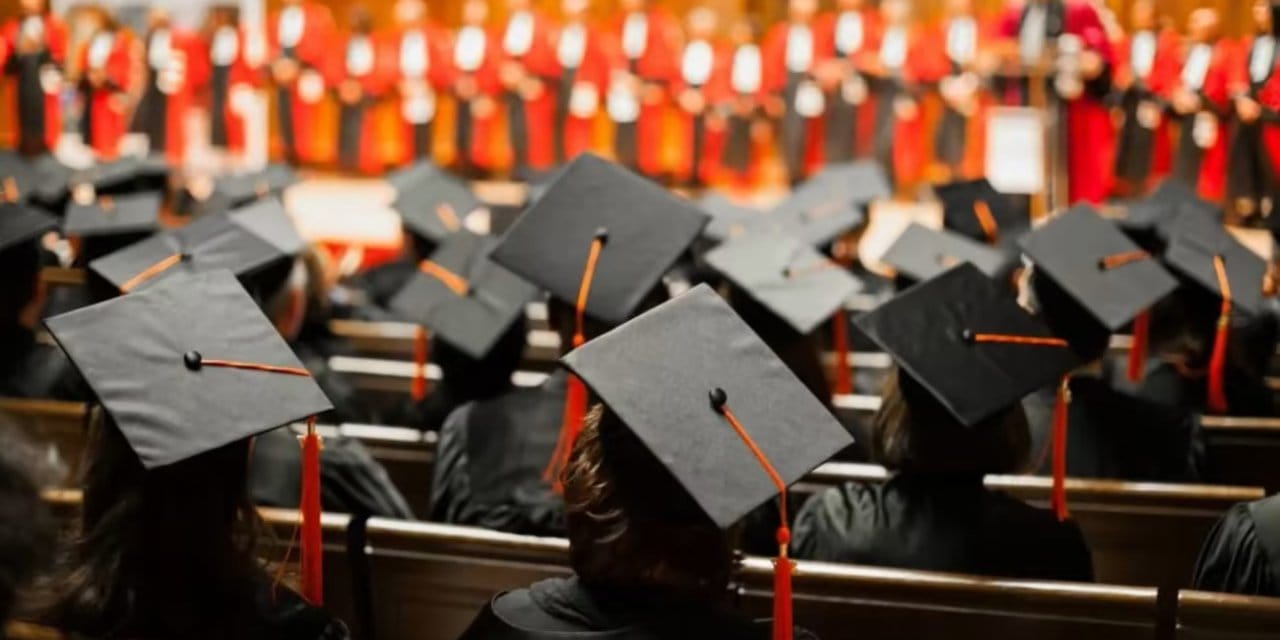 Üniversite diploması artık yeterli değil: Kariyerin yeni kuralı sürekli öğrenme