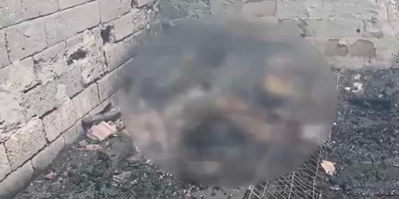 Kırklareli'nde yangın: Koyun ve kuzular öldü!