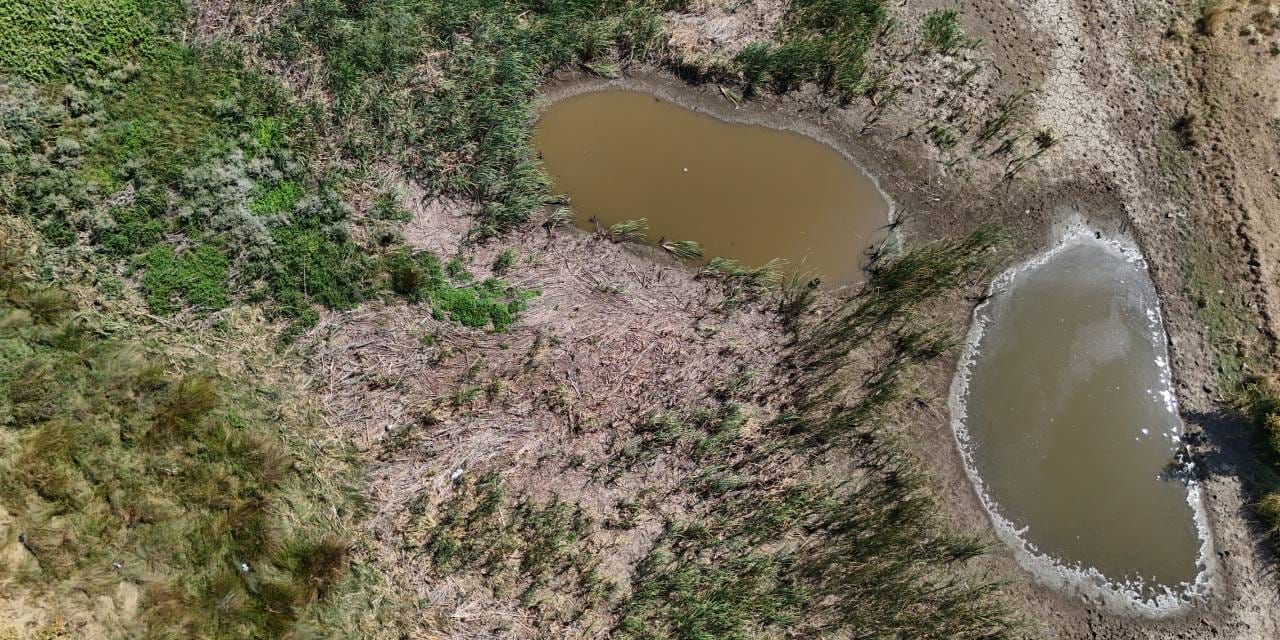 Sazlık Göleti kuruma noktasında!