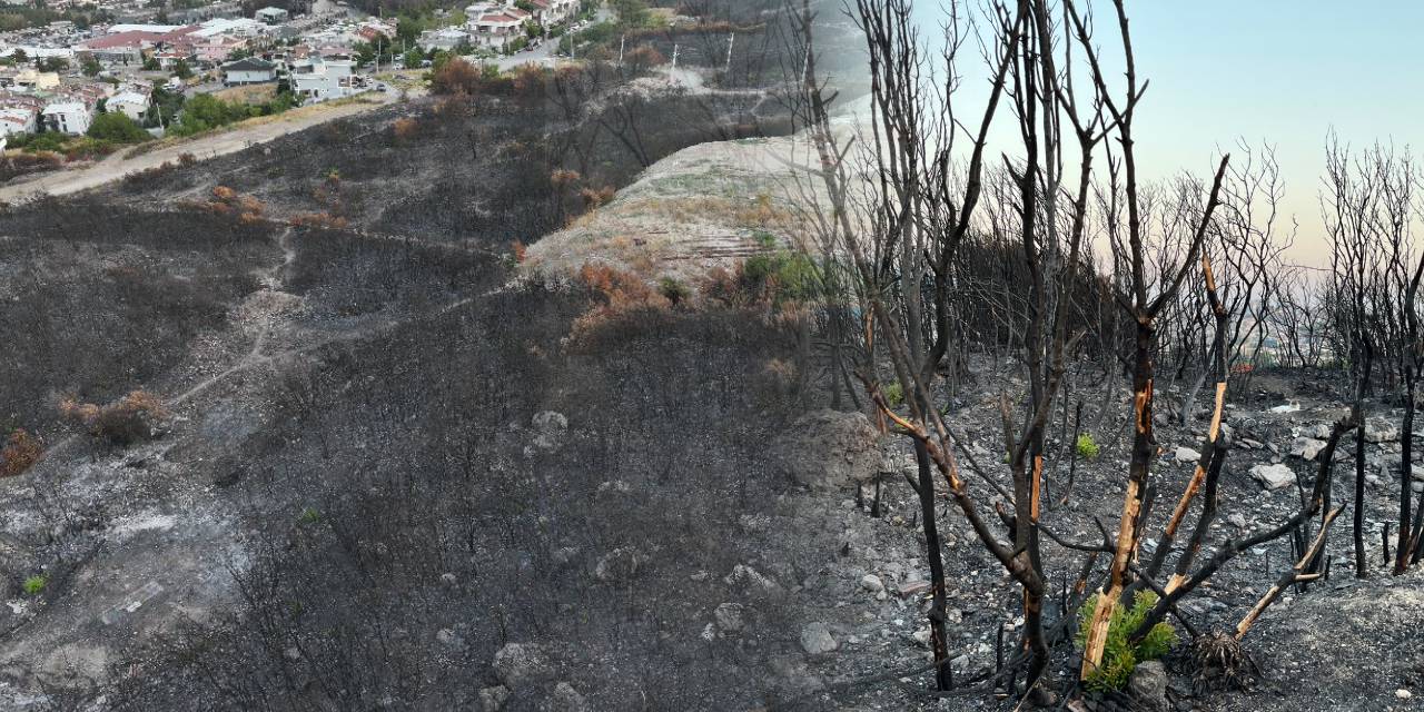 İzmir yangınının bilançosu gün yüzüne çıktı! İşte alevlerin arkasında bıraktığı yıkım…