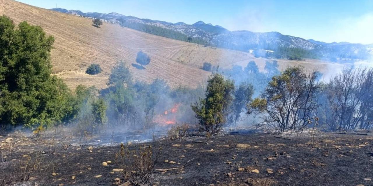 Adana'daki orman yangını kontrol altında