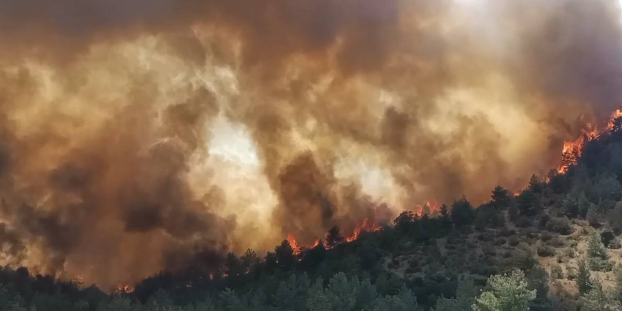 Türkiye alevlerle boğuşuyor! Mersin’de 3 farklı noktada yangın