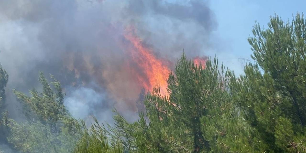 Balıkesir'de yangın faciası! 65 yaşındaki felçli adam hayatını kaybetti