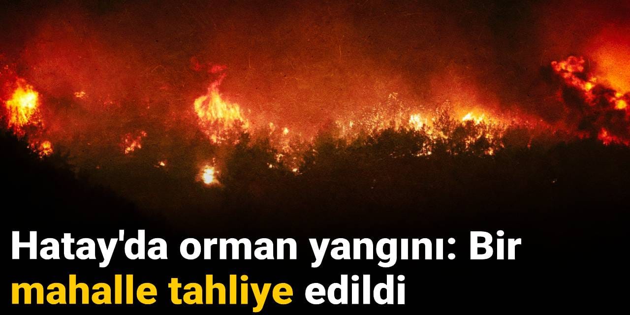 Hatay'da orman yangını: Bir mahalle tahliye edildi