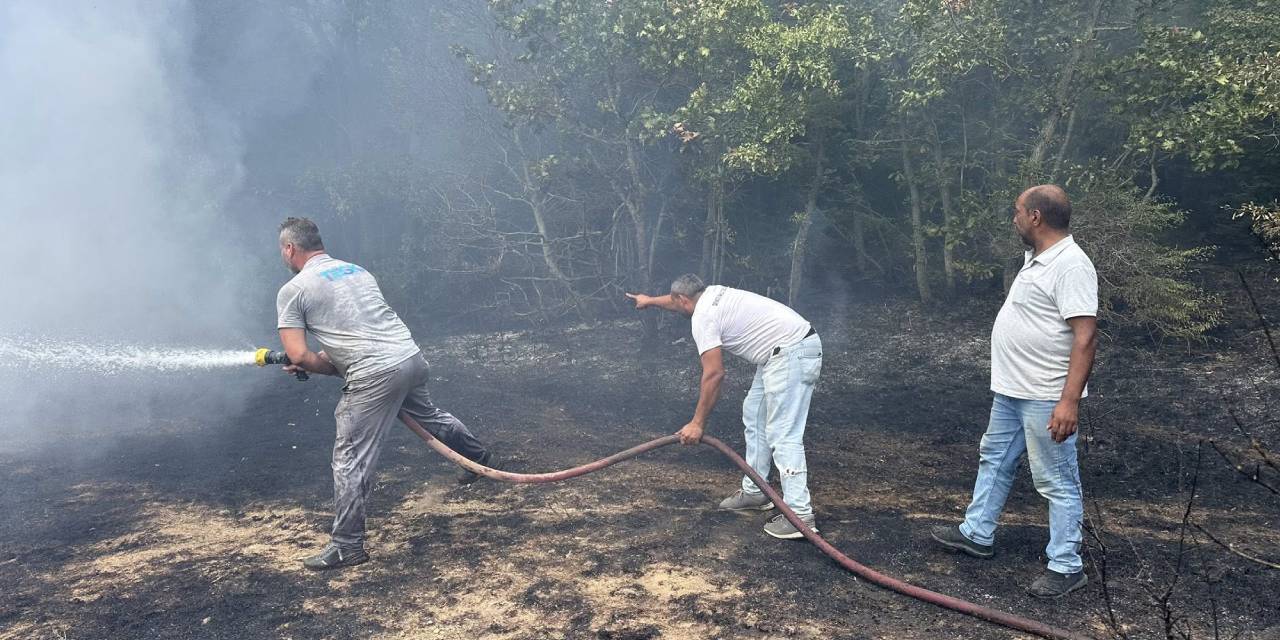 Kırklareli'deki orman yangını söndürüldü