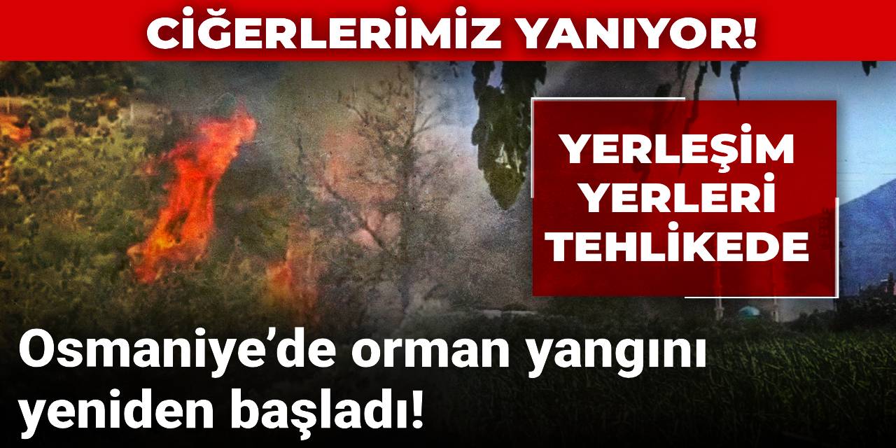 Ciğerlerimiz yanıyor! Osmaniye’de orman yangını yeniden başladı