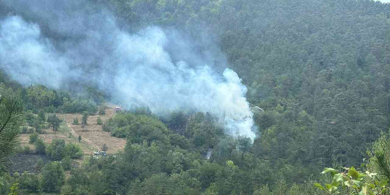 Bolu'daki yangına tutuklama