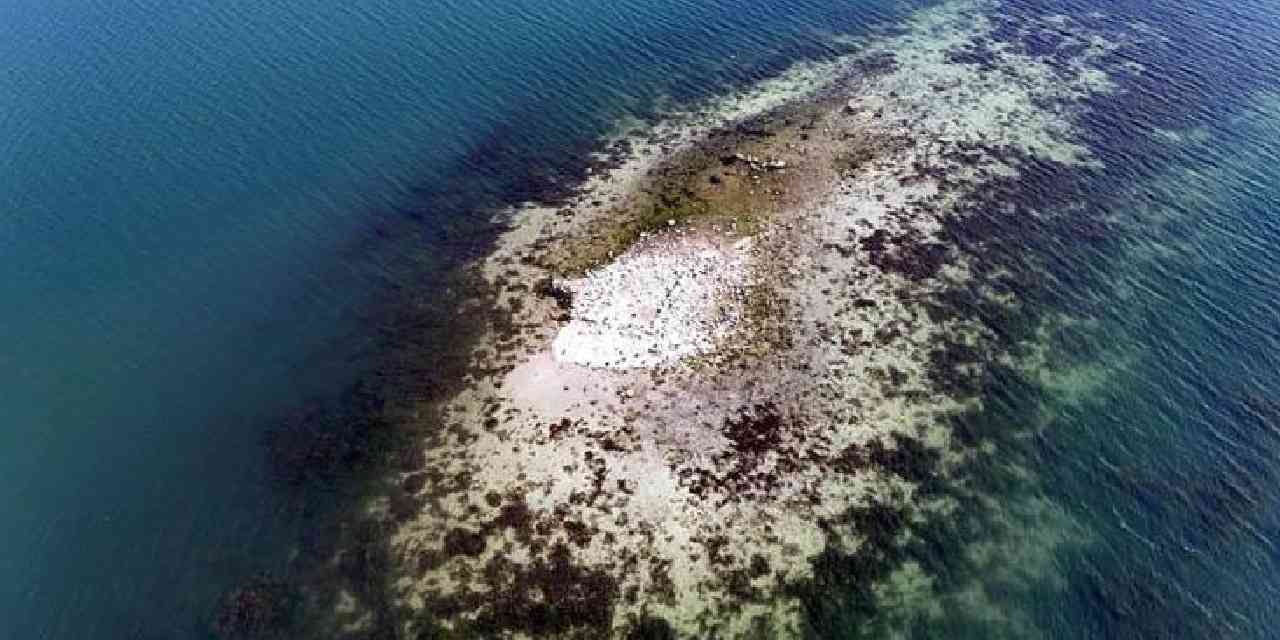 Sular çekilince ortaya çıktı