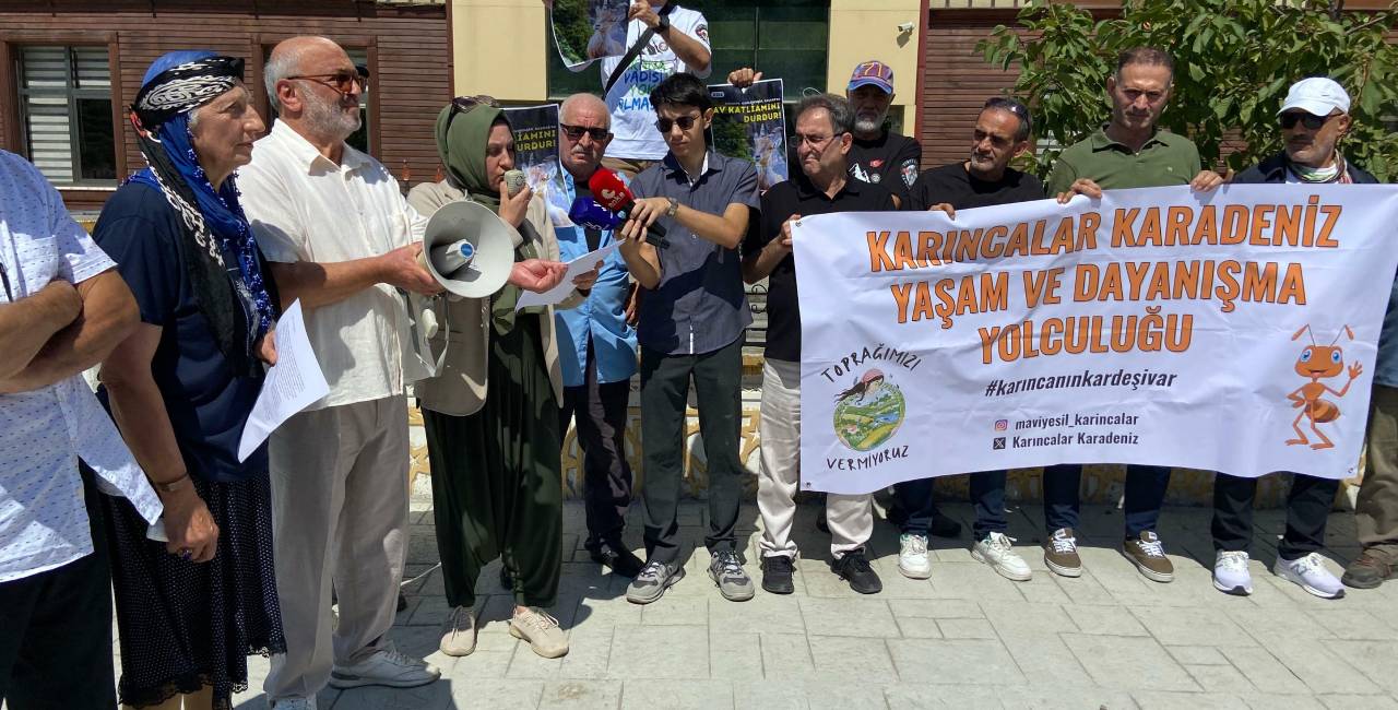 27 dağ keçisini öldürmek için ihale açtılar