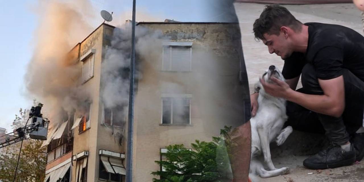 Yangında iki köpek mahsur kaldı! Yardıma itfaiye koştu