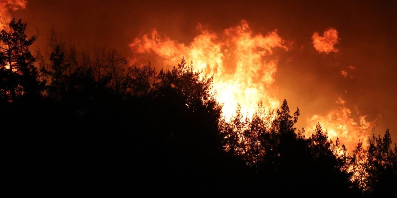 Hatay'daki orman yangını kontrol altında