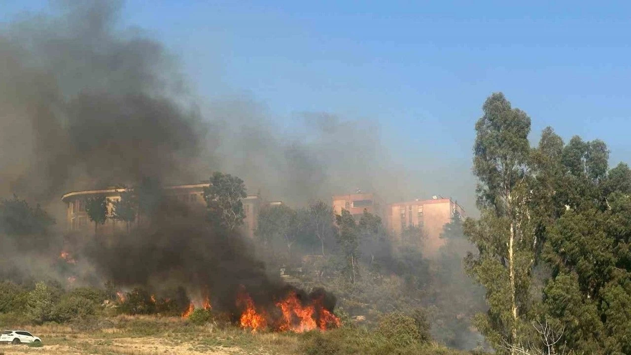 Sinop'taki yangın köylülerin müdahalesiyle kontrol altına alındı