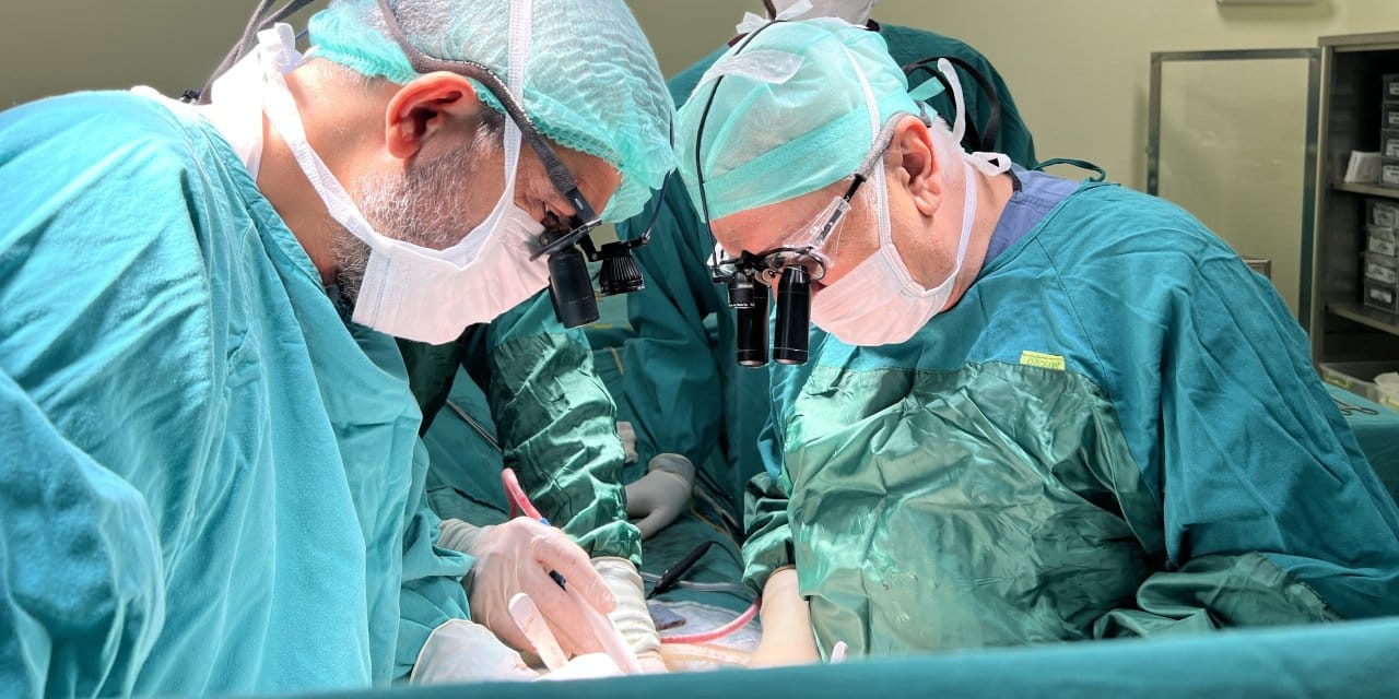 Avrupa'da en çok karaciğer nakli Malatya'da yapılıyor