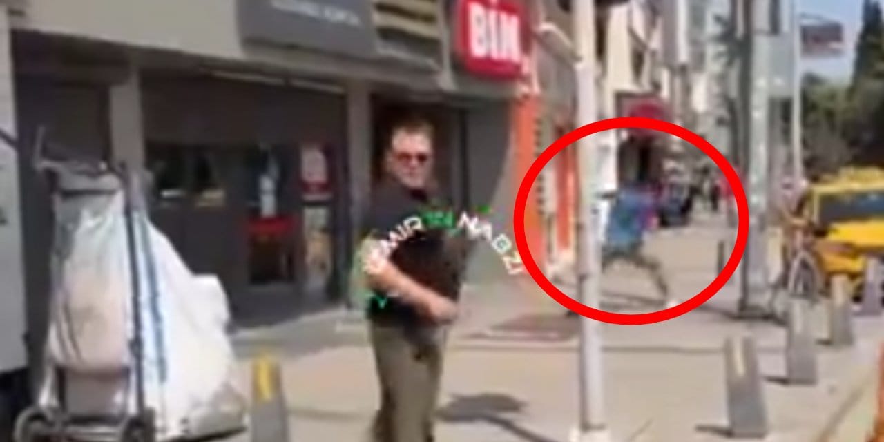 BİM'e taşlı saldırı